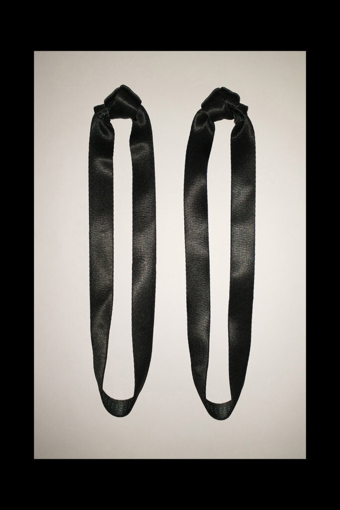 One foot (1') Big Bight Extenders Pair
